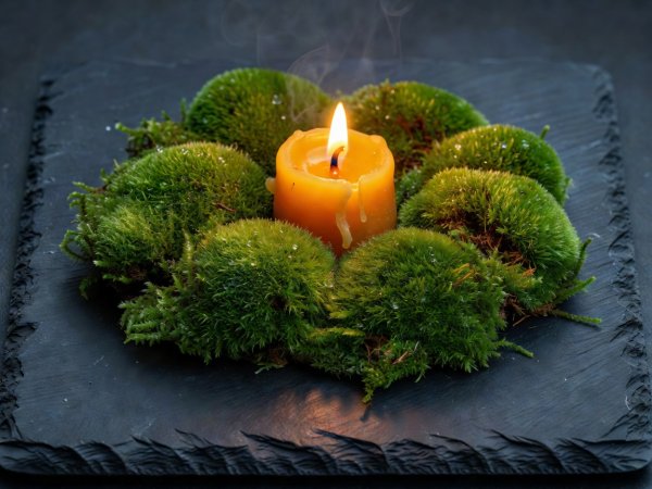 Close-up of dark slate board with green living moss cushion and a glowing beeswax candle